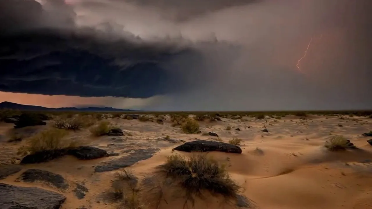 I Couldn't Believe You Would